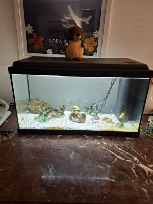 Aquarium 60 litres