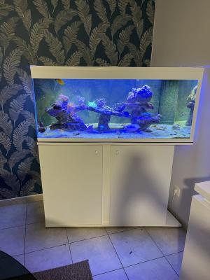 Aquarium d’angle