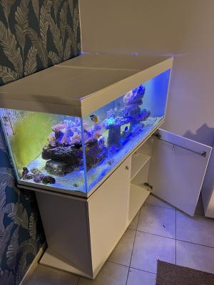 Aquarium d’angle