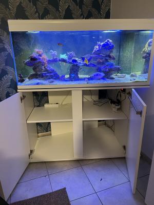 Aquarium d’angle