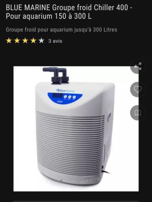 À Vendre – Couple d’Axolotls + Meuble Aquarium Équipé