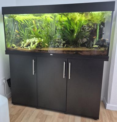 Tout pour aquarium