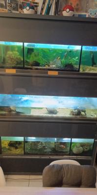 Batterie aquarium 480l