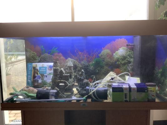 Aquarium Meuble juwel 180l