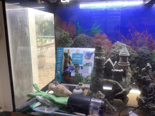 Aquarium Meuble juwel 180l