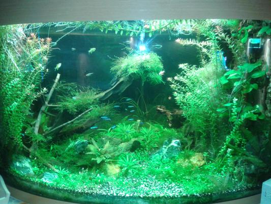 Aquarium Juwel Trigon 350