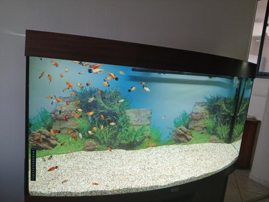 Aquarium Juwel Visio 260