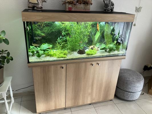 Aquarium 240L