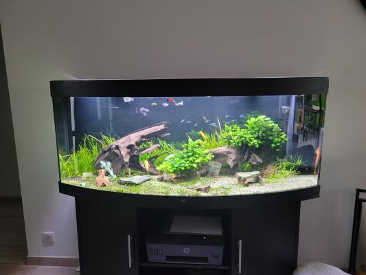 Juwel vision 450L