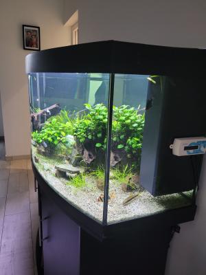 Juwel vision 450L