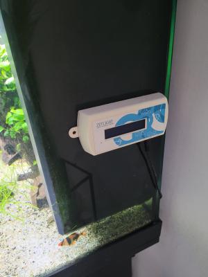 Juwel vision 450L