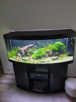 Juwel vision 450L