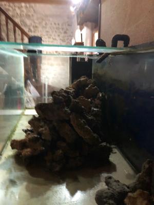 aquarium 800 litres