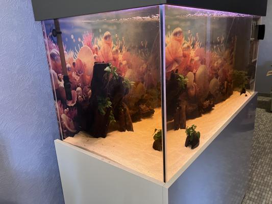 aquarium 468l