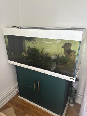 Aquarium Juwel 180L