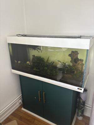 Aquarium Juwel 180L