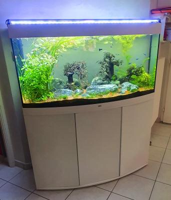Aquarium Juwel Vision 260 équipé