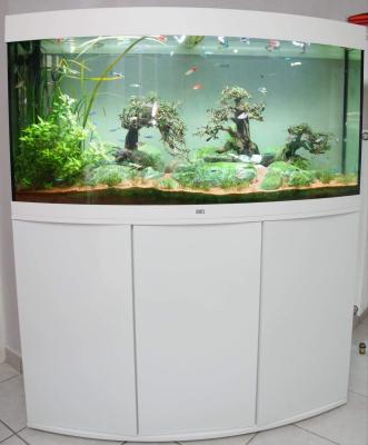 Aquarium Juwel Vision 260 équipé