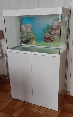 Vente aquarium