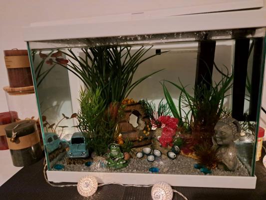 Aquarium Fresh 40 blanc 20 L - Pure Family