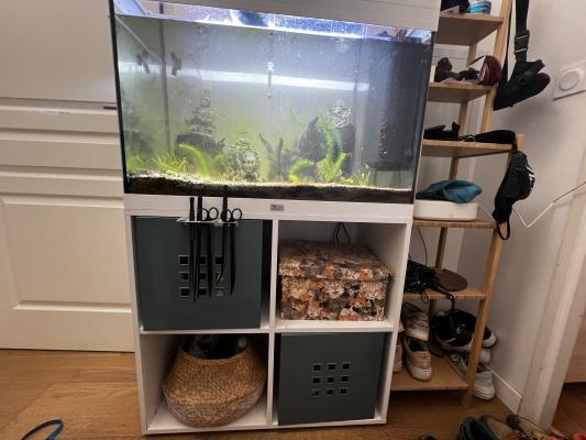 Aquarium 80L