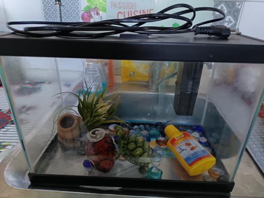 Aquarium complet