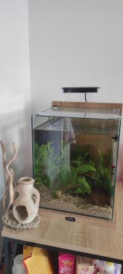 Aquarium Zolux 18L