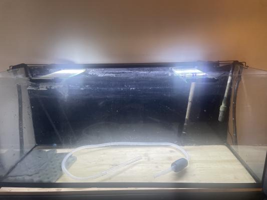 Aquarium 240  l