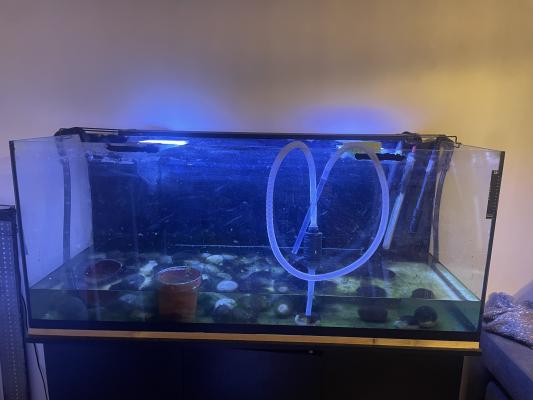 Aquarium 240  l