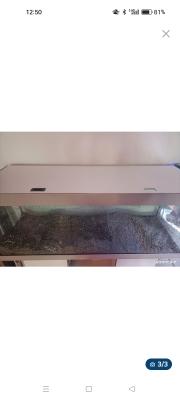 Aquarium 500l