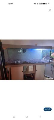 Aquarium 500l