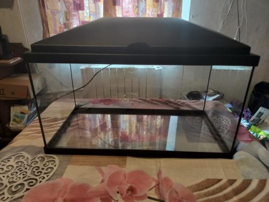 A donner : aquarium pour poissons
