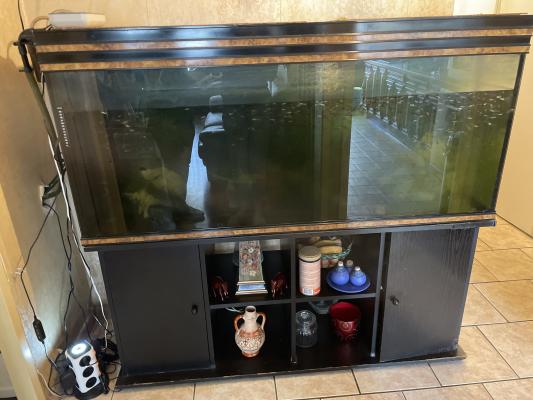 Aquarium 450l