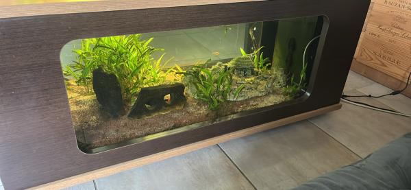 Table aquarium 8