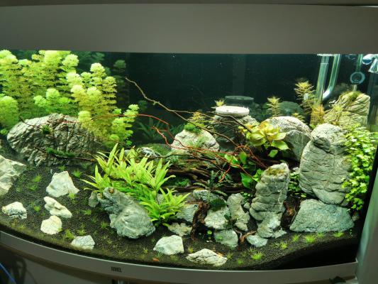 Aquarium juwel vision 260l + meuble