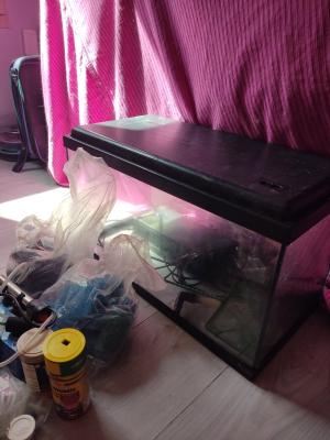 Aquarium 60L + Accessoires