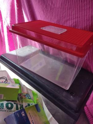 Aquarium 60L + Accessoires