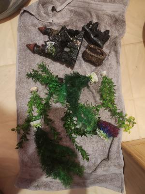 Aquarium 60L + Accessoires