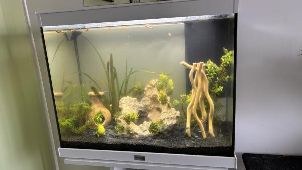aquarium 70L + meuble