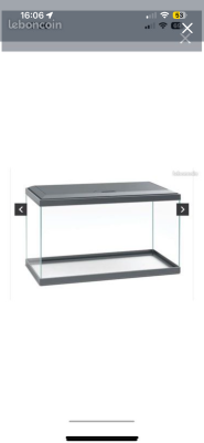 aquarium