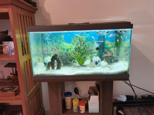 Aquarium 48 L