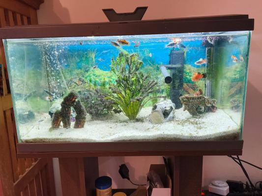 Aquarium 48 L