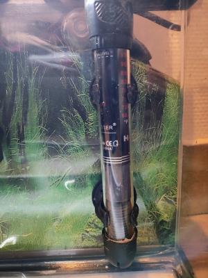 Aquarium avec accessoires