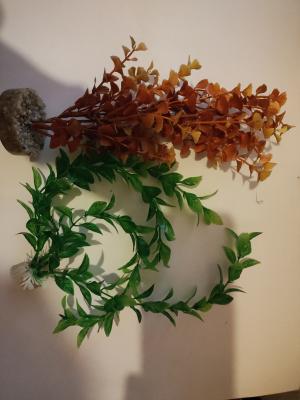 Aquarium avec accessoires