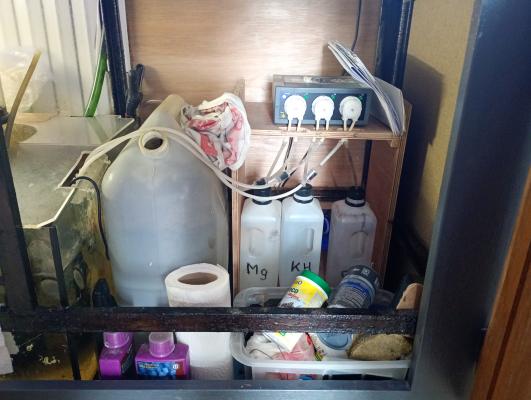 aquarium recifal OSAKA 260 Complet