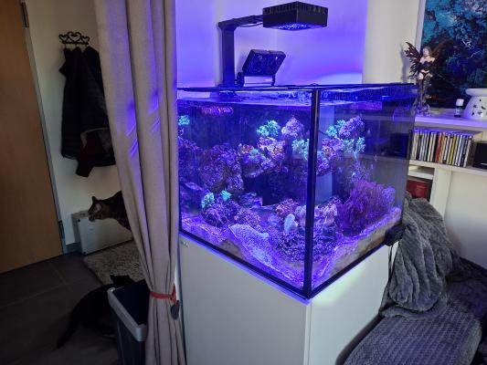 Aquarium marin reefer G2+ toutes options