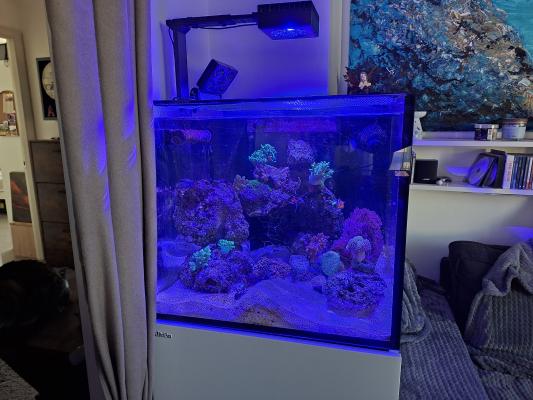 Aquarium marin reefer G2+ toutes options