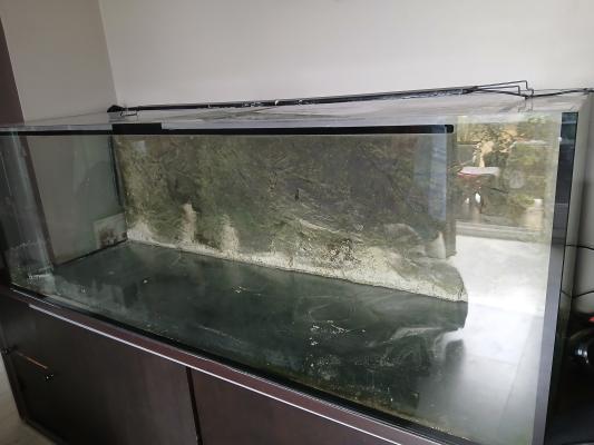 Aquarium 600l