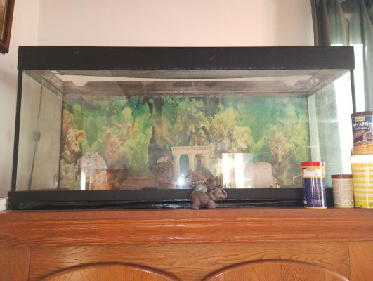 Cuve aquarium avec rampe led