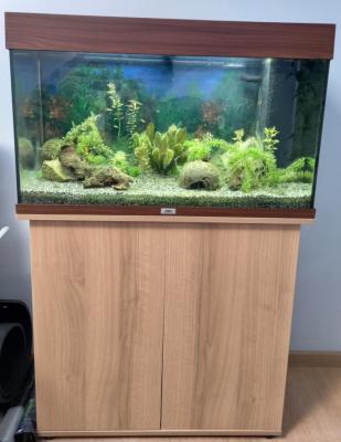 Aquarium complet 120L + meuble + poissons